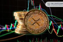 خبير: وصول XRP إلى 100 دولار ممكن للغاية - تجاهل مخاوف السوق!