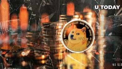 تصفية 84.9 مليون دوجكوين (DOGE) بين خسائر طويلة وقصيرة - اكتشف التفاصيل الآن!