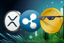 ارتفاع ميم كوينز ريبل مع تحركات سعر XRP: تحليل الخبراء - اكتشف المزيد!