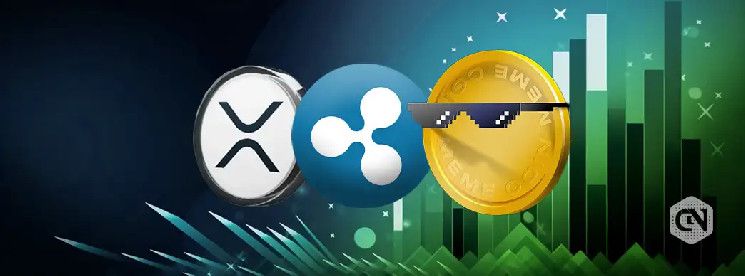 ارتفاع ميم كوينز ريبل مع تحركات سعر XRP: تحليل الخبراء - اكتشف المزيد!