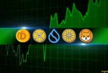 تحليل أسعار العملات الرقمية 15 نوفمبر: XRP، ADA، DOGE، SHIB، وSUI – اكتشف التحديثات والفرص الآن!