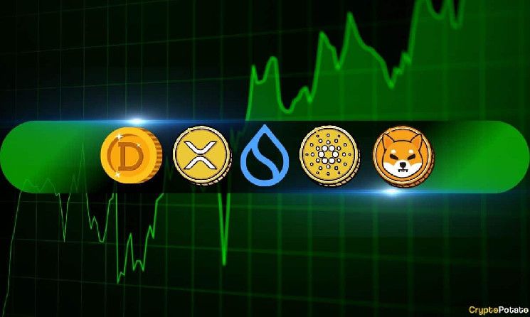 تحليل أسعار العملات الرقمية 15 نوفمبر: XRP، ADA، DOGE، SHIB، وSUI – اكتشف التحديثات والفرص الآن!