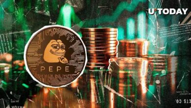 ارتفاع ضخم في تدفقات حوت PEPE بنسبة 4,479% خلال 24 ساعة: ما الخطوة التالية؟ تابع الآن!