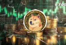 دوجكوين (DOGE) تكشف عن 4 نصائح بقاء أساسية للمستثمرين الآن - اكتشفها!