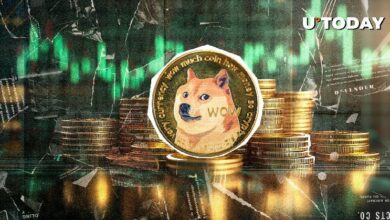 دوجكوين (DOGE) تكشف عن 4 نصائح بقاء أساسية للمستثمرين الآن - اكتشفها!