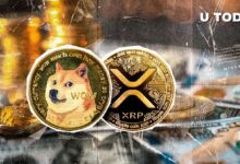 دوجكوين (DOGE) وXRP يتألقان مع وصول تصفية العملات الرقمية إلى 493 مليون دولار - اكتشف المزيد الآن!