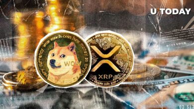 دوجكوين (DOGE) وXRP يتألقان مع وصول تصفية العملات الرقمية إلى 493 مليون دولار - اكتشف المزيد الآن!