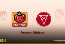 بينانس توزع 1000PEPPER توكن لحاملي CHZ - اكتشف الفرصة الآن!