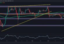 تحليل سعر ريبل: هل ستهبط XRP لأقل من 0.5 دولار؟ اكتشف الآن!