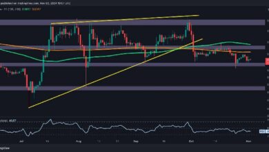 تحليل سعر ريبل: هل ستهبط XRP لأقل من 0.5 دولار؟ اكتشف الآن!