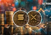 تألّق XRP يفوق سولانا مع توازن التصفية بين مراكز الشراء والبيع - اكتشف التفاصيل!