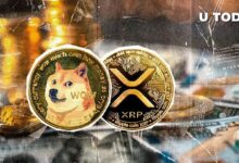 ارتفاع مذهل لXRP يتجاوز 1 دولار: هل يتفوق على دوجكوين؟ اقرأ الآن!