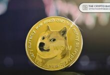 كم ستكون قيمة 1 دوجكوين إذا وصلت القيمة السوقية لـDOGE إلى 100 مليار دولار؟ اكتشف الآن!