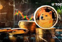 60.9 مليار دوجكوين (DOGE) في 24 ساعة: اكتشف ما يحدث الآن!