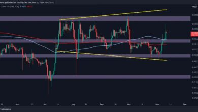 تحليل سعر ريبل: اكتشف مستوى المقاومة التالي لـ XRP بعد ارتفاع أسبوعي بنسبة 15%