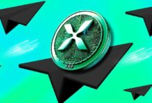 محامي مؤيد لـXRP يصرّح: ريبل يمكنها بسهولة دفع غرامة SEC - اكتشف الطريقة هنا!