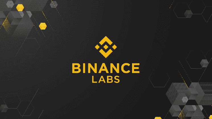 مخاطر انخفاض في هذه العملات البديلة الأربعة! اكتشف تفاصيل استعداد Binance Labs للبيع!