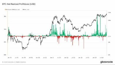 لماذا ستتجاوز بيتكوين أعلى مستوياتها التاريخية: رأي فان ستراتن - اكتشف الآن!