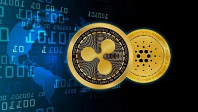 فرصة جديدة للمستثمرين في العملات المشفرة الذين فاتتهم انتفاضة أسعار XRP و ADA - اكتشف الآن!