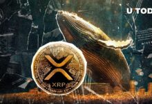 قفزة XRP ملحمية بقيمة 81.5 مليون دولار في نشاط الحيتان التصاعدي خلال يومين - اكتشف التفاصيل الآن!