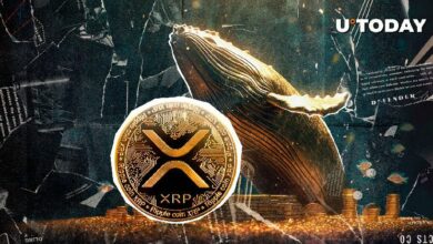 قفزة XRP ملحمية بقيمة 81.5 مليون دولار في نشاط الحيتان التصاعدي خلال يومين - اكتشف التفاصيل الآن!