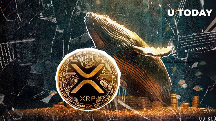 قفزة XRP ملحمية بقيمة 81.5 مليون دولار في نشاط الحيتان التصاعدي خلال يومين - اكتشف التفاصيل الآن!