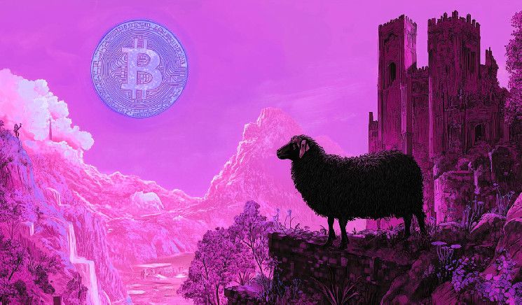 أفضل متداول: اختبار الـ80,000 دولار هو "الأكبر" للبيتكوين (BTC) – اكتشف السبب الآن!