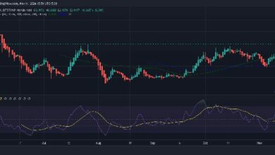 سعر WIF: إلى أي ارتفاع يمكن أن يصل سعر الدوج ويفهات؟ اكتشف الآن!