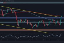 تحليل سعر الإيثريوم: ETH يتجاوز 3000 دولار ويحقق مكاسب أسبوعية بنسبة 20٪! شاهد التفاصيل!