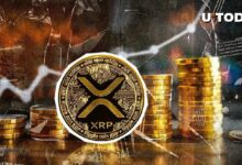 ارتفاع حجم تداول XRP بنسبة 109% مع وصول السعر إلى 0.7$: اكتشف التفاصيل الآن