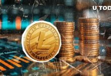 ما الذي يحدث؟ تحويل 407,510 لايتكوين (LTC) في عملية واحدة!