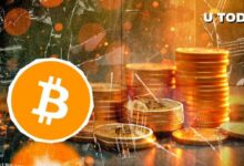 شعار بيتكوين الأسطوري (BTC) يحتفل بالذكرى الـ 14: اكتشف التفاصيل!