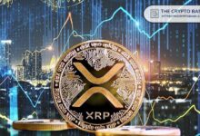 الخبراء يقولون إن حركة سعر XRP ستُحبطك، لكن تجاوزه لأعلى سعر قياسي مُرتقب خلال أسابيع! اكتشف المزيد!