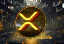 تحليل سعر XRP لعام 2024: شرح المناطق الحمراء والصفراء والزرقاء - اكتشف التفاصيل!