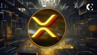 تحليل سعر XRP لعام 2024: شرح المناطق الحمراء والصفراء والزرقاء - اكتشف التفاصيل!