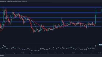 تحليل سعر ريبل: هل يمكن أن يصل سعر XRP إلى 2 دولار قبل نهاية العام؟ اكتشف الآن!