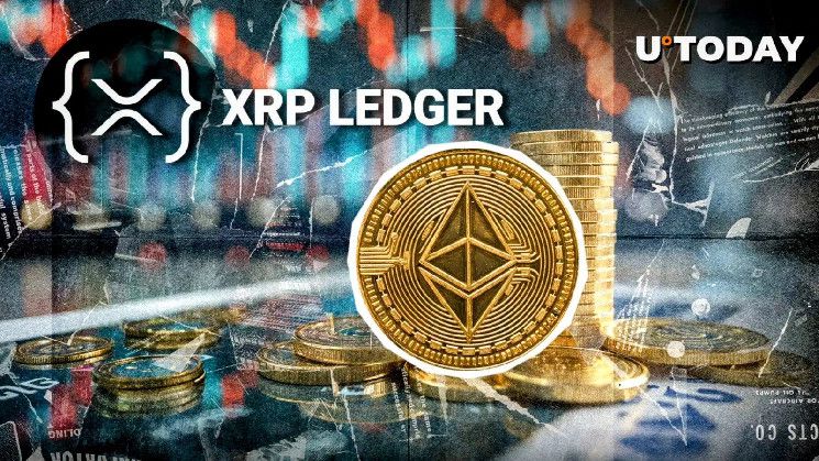 سلسلة جانبية لإيثريوم على XRP Ledger تستقبل إصداراً رئيسياً: اكتشف التفاصيل