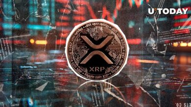 XRP لا يزال منخفضًا بنسبة 69٪ رغم المكاسب الأخيرة - اكتشف المزيد الآن