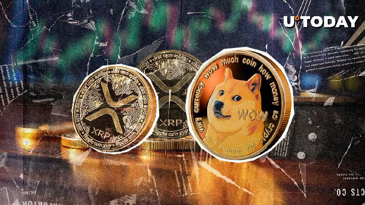 أفضل متداول يعتبر دوجكوين أفضل من XRP — اكتشف الأسباب الآن