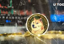 550 مليون دوجكوين (DOGE) في 20 دقيقة، اكتشف ما يحدث الآن!