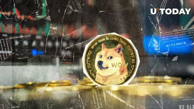 550 مليون دوجكوين (DOGE) في 20 دقيقة، اكتشف ما يحدث الآن!