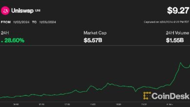 رمز UNI لـUniswap يرتفع بنسبة 28% مع تفوق العملات الرقمية البديلة بعد الانتخابات الرئاسية الأمريكية - اكتشف التفاصيل!