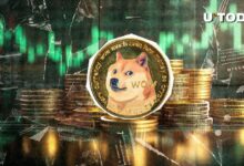 هل ما زال دوجكوين (DOGE) في طريقه لتجاوز 0.5 دولار في هذه الدورة؟ اكتشف الآن!