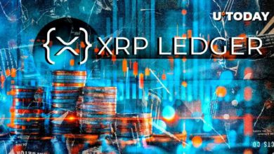 إطلاق رئيسي جديد على شبكة XRP: اكتشف التحديثات الآن!