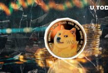 60 مليار دوجكوين (DOGE) في 24 ساعة: اكتشف ما يجري الآن!