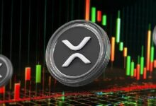 حوت XRP يشتري 105 مليون رمز بعد قرار المحكمة لصالح ريبل: اكتشف المزيد!