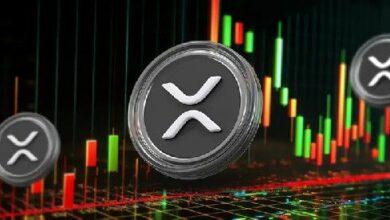 حوت XRP يشتري 105 مليون رمز بعد قرار المحكمة لصالح ريبل: اكتشف المزيد!