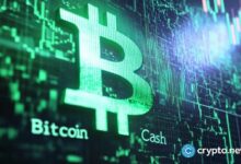 مخطط الأسبوع: بيتكوين كاش يستهدف ارتفاعًا مزدوج الرقم - مؤشرات صعودية تدعم مكاسب BCH