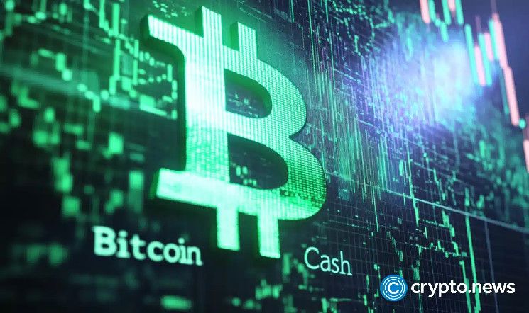 مخطط الأسبوع: بيتكوين كاش يستهدف ارتفاعًا مزدوج الرقم - مؤشرات صعودية تدعم مكاسب BCH