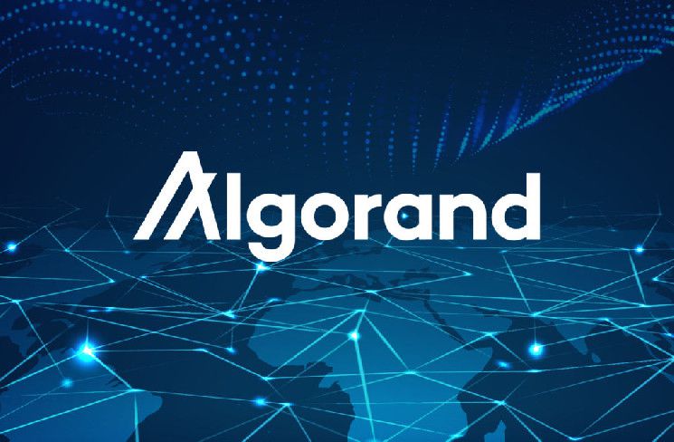 توقع سعر Algorand: اكتشاف نمط نادر يشير إلى مكاسب كبيرة لـ ALGO